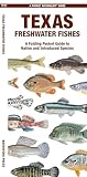 Texas Freshwater Fishes (Nature Observation North America)