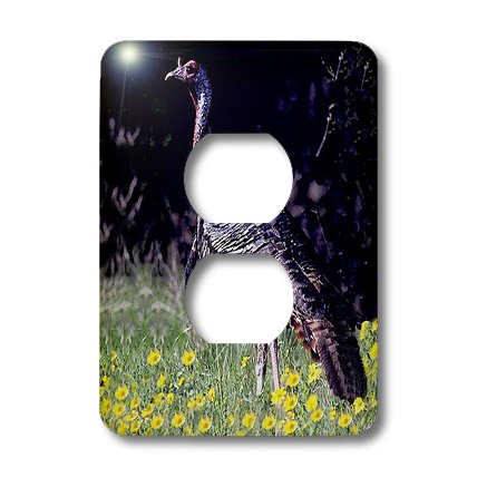 Gobbler 2 prises de prise plaque décorative pour interrupteur lsp_720_6