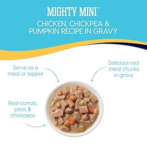   Solid-Gold-Wet-Dog-Food-for-Small-Dogs-Mighty-Mini-Grain-Free-Wet-Dog-Food-Made-with-Real-Chicken-Chickpeas-and-Pumpkin-for-Puppies-Adult-Senior-Small-Breeds-with-Sensitive-Stomachs