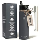 Insulated Metal Water Bottle with Straw 750ml- Stainless Steel Water Bottle, BPA Free, Dual Lid Straw & Spout, Leakproof, 24 Hours Cold & Hot, Work, Travel, Gym Bottle for Men & Women - Grey- Daydrate