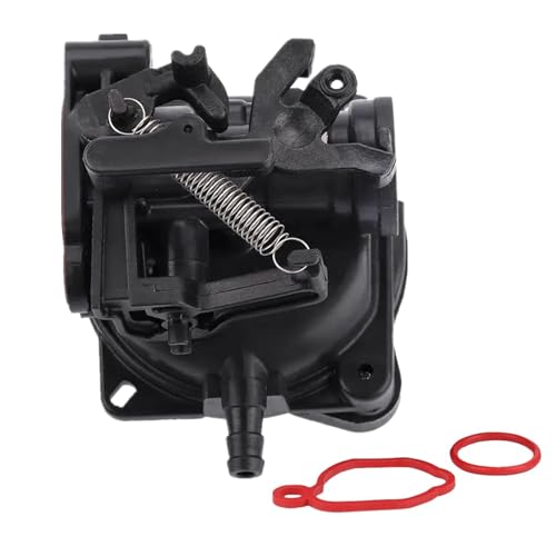 Carburetor For Yard Force - Internal View