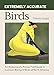 Extremely Accurate Birds: An Anatomically Precise Field Guide to Common Backyard Birds of North America
