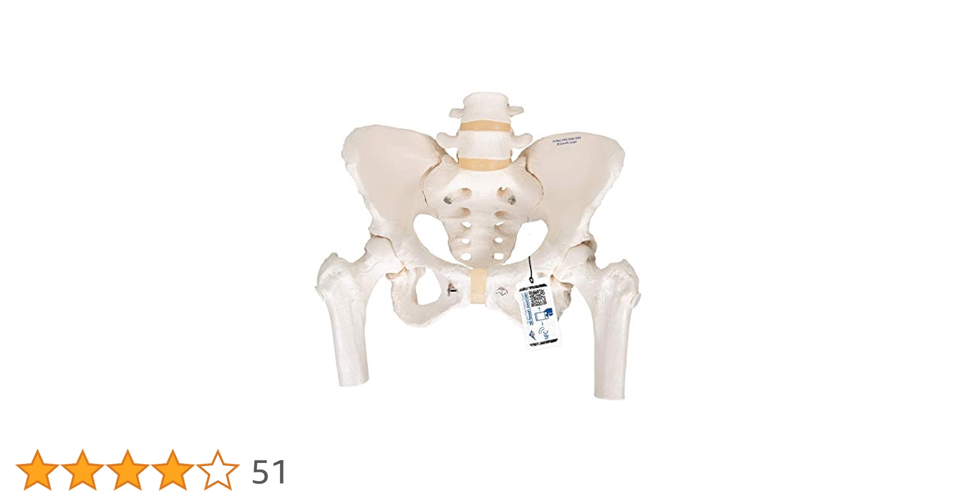 41OXameSOvL.jpg_BO30,255,255,