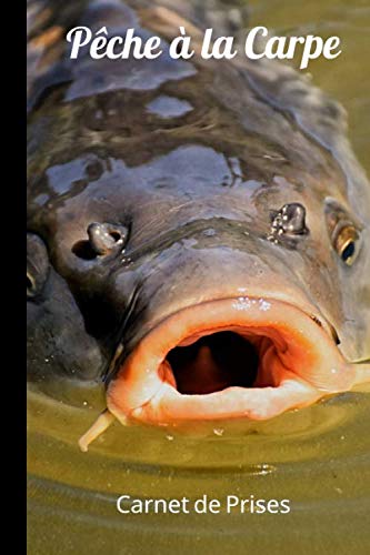 Pêche à la Carpe: Carnet de Prises | 120 pages | Enregistrer et noter vos plus belles prises | Format 15,24 cm x 22,86 cm (6” x 9”)