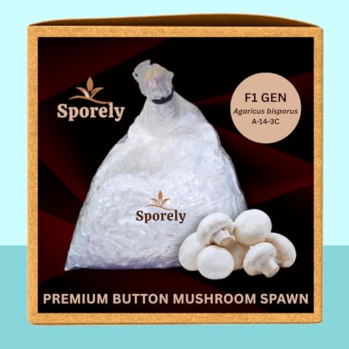 White Button Mushroom Spawn/Seed (200 gm + 2PP Grow Bags + Instruction) - First Generation White Mycelium Button Mushroom Spawn for Mushroom Farming Home Garden Agaricus bisporus Variety