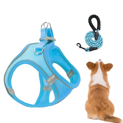 Qidures Arnés Y Correas para Perros Pequeños, Arnés y Correas para Perros de Tamaño Mediano, Transpirable Antifugas para Cachorros en Senderismo Visitas Veterinario Camping Exteriores