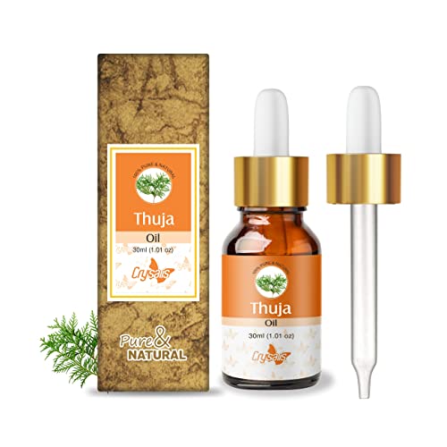 Image of Crysalis Thuja (Thuja Occidentalis L.) Oil |100% Pure & Natural Undiluted Essential Oil Organic Standard Thuja Oil, Improves Body Ache, Improve Skin Breakouts, Soothes Dry Skin- 30ml