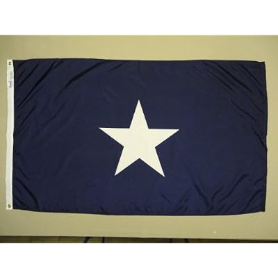 Annin Flagmakers Bonnie Blue Nylon-Dyed American Flag, 3 x 5 Feet (Model 319925) 100% MADE in USA