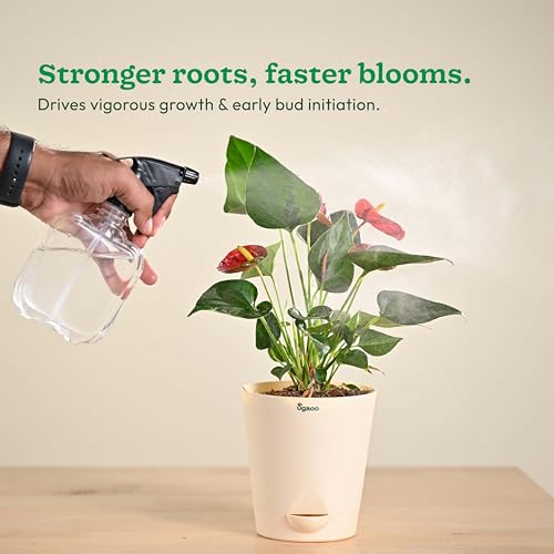 Image of Ugaoo InstaGrow NPK 13:00:45 Fertilizer (250g) | High Potassium Water-Soluble Fertilizer for Fruit & Flower Quality | Boosts Yield & Sweetness