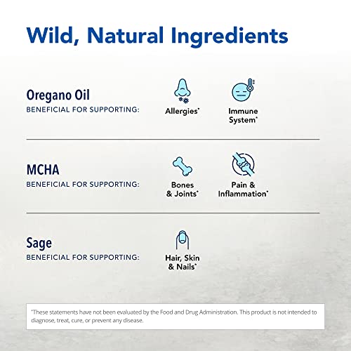 North American Herb & Spice Boneactiv - 120 Capsules - Bone & Joint Support - Mcha, Sage, Rosemary, Oreganol P73 Oregano Oil - Non-Gmo - 30 Servings #TOP2