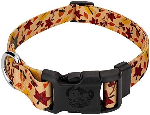 Country Brook Petz - Deluxe Fall Foliage Dog Collar - Made in The U.S.A. - Awesome Autumn Collection with 7 Design You Will Fall for (1/2 Inch, Mini)