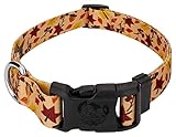 Country Brook Design 1 Inch Adjustable Dog Collar for Small, Medium, Large Breeds - Autumn and Fall Collection with Multiple Designs (Fall Foliage, Medium)