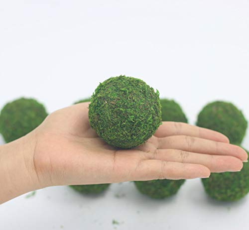 Nice Purchase Handmade Natural Green Plant Moss Balls Decorative For Home Party Display Decor Props (2 In) #TOP2