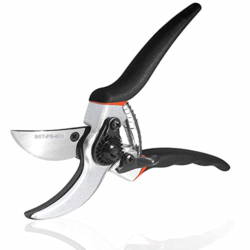 BAISHITE Bypass Pruning Shears – Heavy Duty Shears Gardening Tool with 65MN Blade for Garden BAISHITE Bypass Pruning Shears – Heavy Duty Shears Gardening Tool with 65MN Blade for Garden