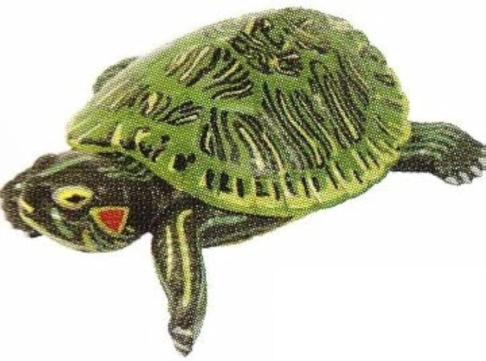 ★Gui23EJ　立体カプセル百科事典原色爬虫類カメ目図鑑根付全15種 Amazon | カプセル 立体カプセル百科事典 原色爬虫類カメ目図鑑