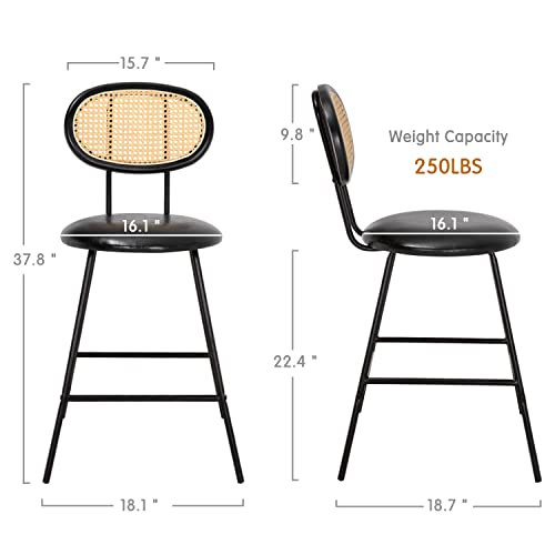 Scurrty Rattan Bar Stool, Counter Height Bar Stools, Indoor Leather Bar Stoolswith Metal Leg & Rattan Backrest, Armless Dining Room Chairs For Kitchens Island (Black, Set Of 1) #TOP2