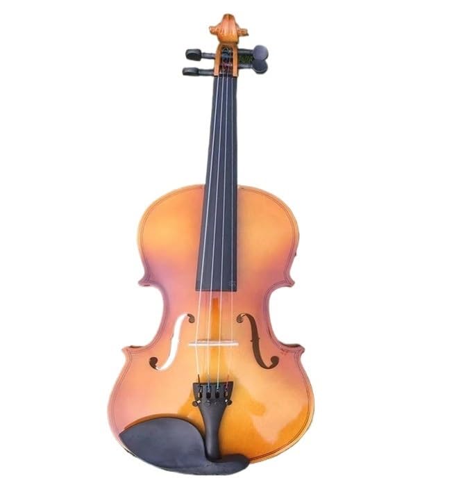 Professional Violin Set Adult Practice Beginner 4/4 Violin Complete Set With Accessories(Antique gloss)