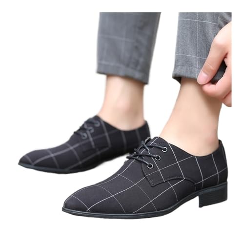 Summer Cloth Shoes Men's Large Size Casual Shoes Breathable Pointed Toe Canvas Shoes Men's Shoes Oxfords(Black,10)3