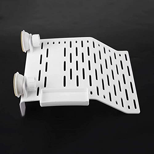 1994 Piattaforma per Tartarughe Terrazza per