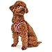 Hunter HILO COMFORT FC Bayern München Hundegeschirr, S, rot Geschirr