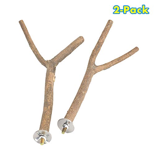 Best Tree Stand For Parakeets