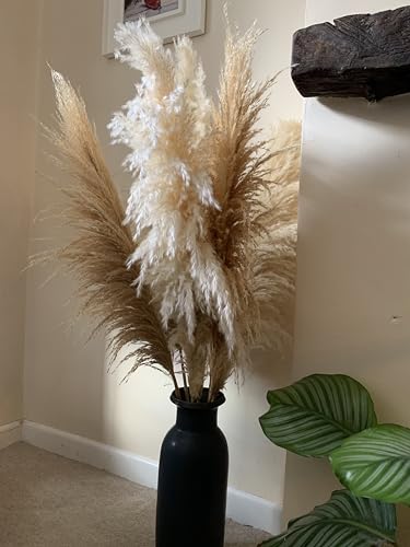Natural Dried Large Pampas Grass, 47 inches/120 cm tall 6 stems, Extra Large and Fluffy, ideal for minimalism, rustic, boho Home Decor and Weddings, Parties | Natural Beige