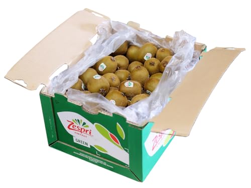 j[W[hY LECt[c [Xv O[ ʃTCY 93?119ʓ 9kg ij O[LEC