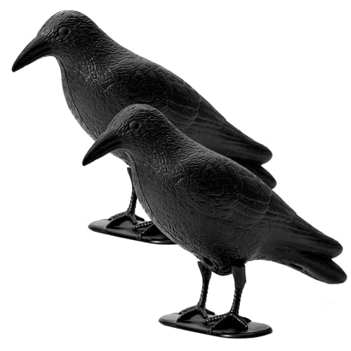 OFFO Corbeau Anti-Pigeon, Effaroucheur Oiseaux Exterieur, Anti Pigeons pour Balcon, Toit et Jardin, Effaroucheur Pigeons, Corbeau Noir en Plastique (2 Pièce)