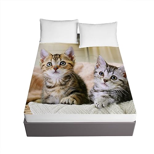 Highdi 3D Chaton Drap Housse - Microfibre Bedding Draps Housses avec Une Rebord Élastiqueavec, Protège Matelas pour Enfants, Jeunes, Adulte (140x200cm,Chats...