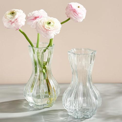 Vase en Verre Transparent 20,5cm,Vase à Fleurs Décoration Vases en Verre pour Tulipe, Grand Vases pour Décoration de Table Ou de Halloween Noël Mariage La Maison, Bureau Fête – Image 5