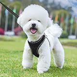 Doggiekit Hundegeschirr Kleine Hunde mit Leine, verstellbares reflektierendes Step in Welpengeschirr Leine, Atmungsaktives Mesh Hundegeschirr,weich gepolsterte Weste für extra kleine/mittelgroße Hunde