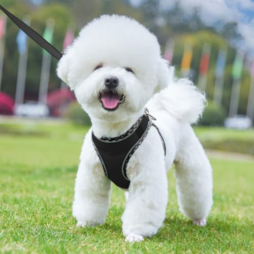 Doggiekit Hundegeschirr Kleine Hunde mit Leine, verstellbares reflektierendes Step in Welpengeschirr Leine, Atmungsaktives Mesh Hundegeschirr,weich gepolsterte Weste für extra kleine/mittelgroße Hunde