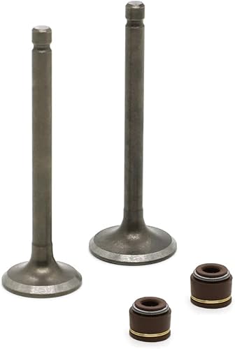 Miniatura 8 de AUTOVIC Juego de válvulas de escape de admisión con sellos para Yamaha ATV Badger Realtree Hunter Champ Raptor YFM80R YFM80W YFM100 Reemplazar