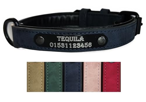 Jacks O Be Hundehalsband Halsband Name Gravur personalisiert Haustier Hund Katze Leder (Blau, M)