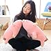 Imagen de Almohada de Peluche de Cerdo, Almohada de Cerdo