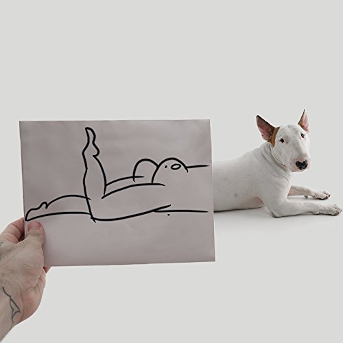 Um Cão Chamado Jimmy