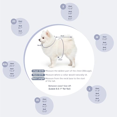 image for Pawstrip Dog Denim Jacket with Embroidered Daisy, Ripped Vintage Jean 