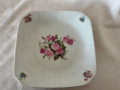 �p��M �A���W�F���J �ᕲ���V���[�Y �v�����h�p��