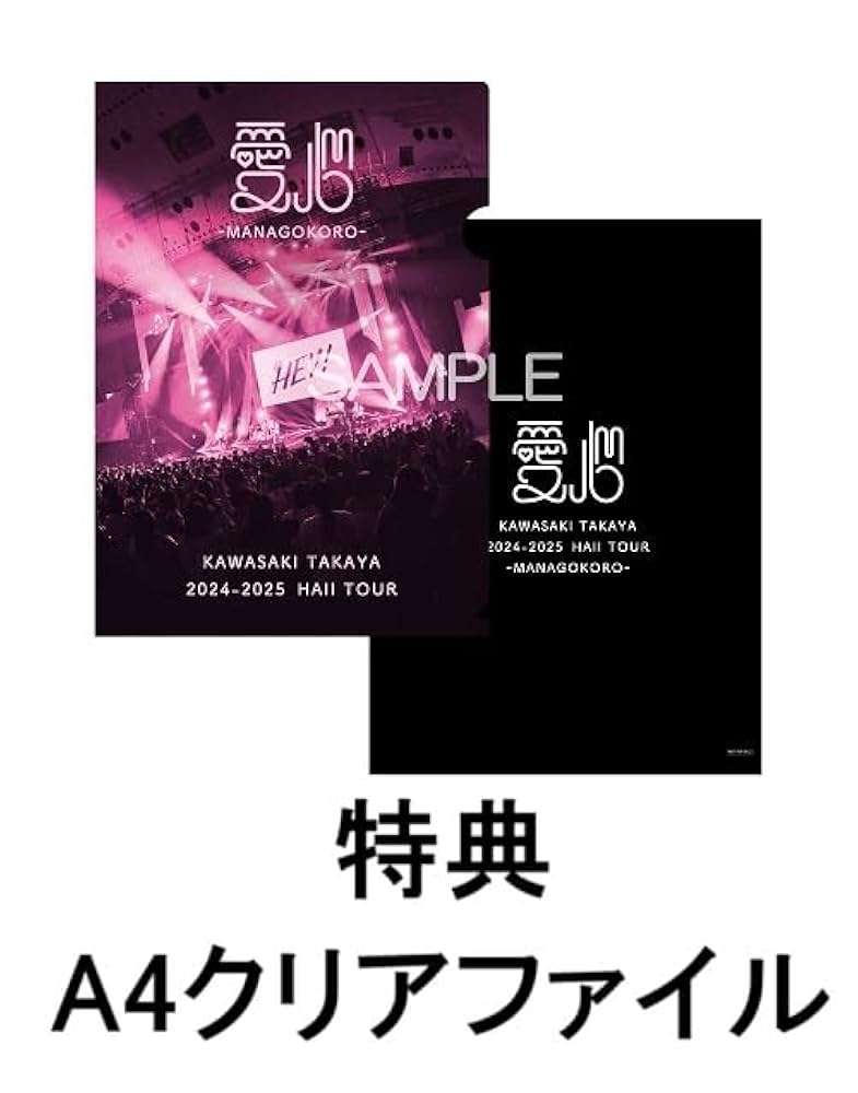 JOURNEY初回限定盤特典クリアファイル付 51AdEZMAv-L._UF350,350_QL80_.jpg