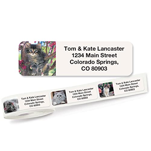 Cute Kittens Rolled Personalized Return Address Mailing Labels With Dispenser, Set Of 250, 5 Designs, Small ¾ X 2½ Inch Size, Custom Self-Adhesive Sticker Roll, By Colorful Images #TOP30