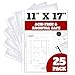 11 x 17 Sheet Protectors, Portrait View,25 Pack, Top Loading, Protect, Store and Display 11X17 Paper, Photographs, Prints, and Documents