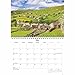 Carousel Worldwide, Yorkshire 2026 A5 Wall Calendar