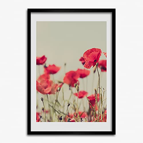 Tableau Coquelicots 40x60 Évite les Murs Vides avec un Cadre Moderne Prêt à Poser