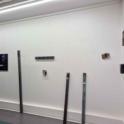 Ari&egrave;le Bonzon &agrave; Lyon