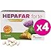 Hepafar Forte Premium - Mariendistel, Artischocke, Löwenzahn Komplex - mit Vitamin E, Phospholipide - Innovative patentierte Formel mit hoher Bioverfügbarkeit - 120 Kapseln hochdosiert