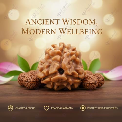 Image of Arihant Gems & Jewels 3 Mukhi /Faced Nepali Rudraksha | Natural & Certified | Astrological Three Mukhi /Faced Rudraksha | Positive Effect | Unisex Both for Men & Women.
