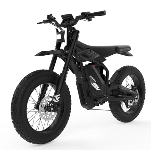 Electric Dirt Bike for Adults 3000W Peak 60V 27AH Removable Battery Ebike