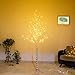 Bolylight LED Birch Tree 6ft 96L LED Christmas Decorations Lighted Tree Decor for Bedroom/Party/Wedding/Office/Home Outdoor and Indoor Use Warm White