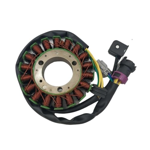 Stator magnéto étanche pour VTT 300cc : idéal pour vos randonnées