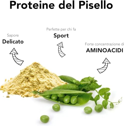 Erbsenprotein Pulver von Cibo Crudo – Biologisch und Vegan